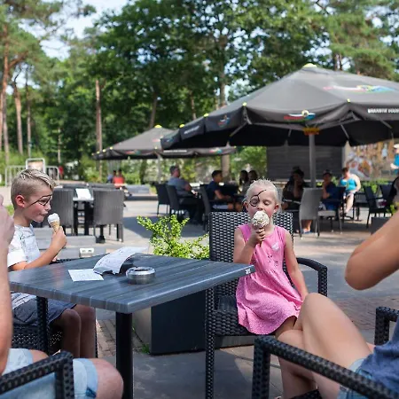 Oostappen Arnhem-7 By Interhome Holiday home Schaarsbergen